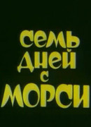 Семь дней с Морси