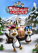 Пингвины не сдаются