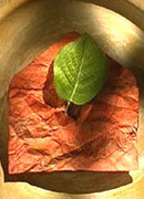 Объятия ветра (2005)