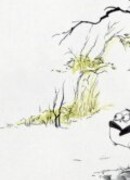 Зоология (2007)