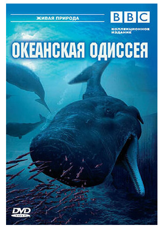 мультик BBC: Океанская одиссея (ТВ, 2006) (Ocean Odyssey) 16.08.22