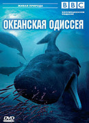 BBC: Океанская одиссея (ТВ, 2006)