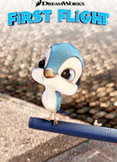 Первый полет (2006)