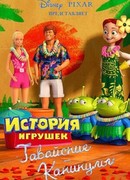 Гавайские каникулы (2011)