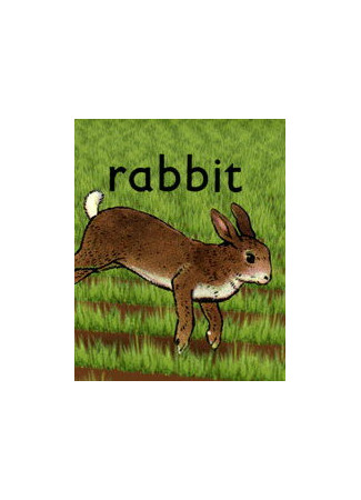 мультик Rabbit (Кролик (2005)) 16.08.22