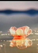 Вдохновение (1949)