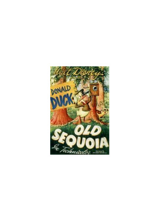 мультик Old Sequoia (Старая секвойя (1945)) 16.08.22