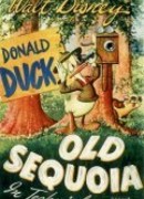 Старая секвойя (1945)