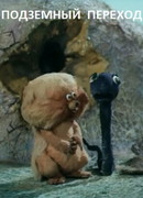 Подземный переход (ТВ, 1984)