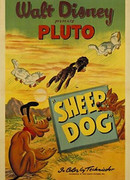 Овчарка (1949)