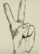 Я встретил моржа (2007)