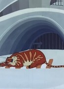 Бабочка и тигр (1978)