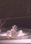 Белая арена (1987)