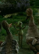 История любви одной лягушки (ТВ, 2005)