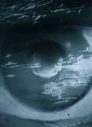 Последний (1991)