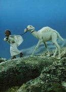 Аль-Фатиха. Мусульманская молитва (2001)