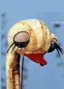 Мой брат страусенок (1971)