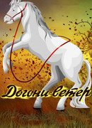 Догони-ветер (1978)