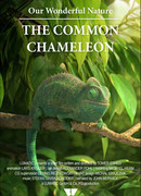 Наша чудесная природа — Хамелеон обыкновенный (2016)