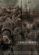 Мертвые лошади (2016)