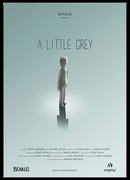 Слегка серый (2016)