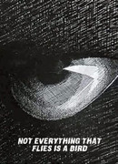 Не всё то птица, что летает (1970)