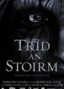 Во время шторма (2012)