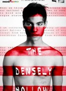 Densely Hollow (2013)