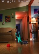 Wiggle Room (2013)