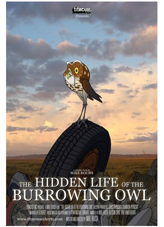 мультик The Hidden Life of the Burrowing Owl (2008) 16.08.22