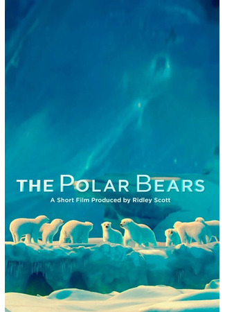 мультик The Polar Bears (2012) 01.11.25