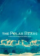 The Polar Bears (2012)