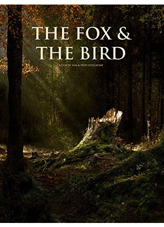 мультик Лис и птенец (2019) (The Fox and the Bird) 28.11.25