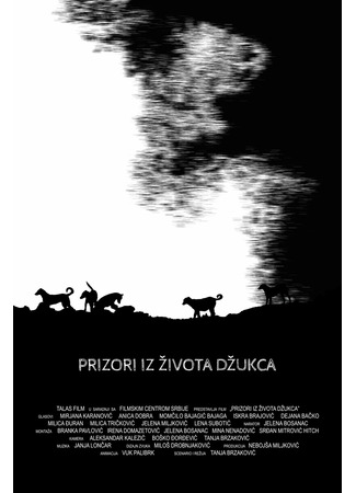 мультик Prizori iz zivota dzukca (2021) 14.12.25