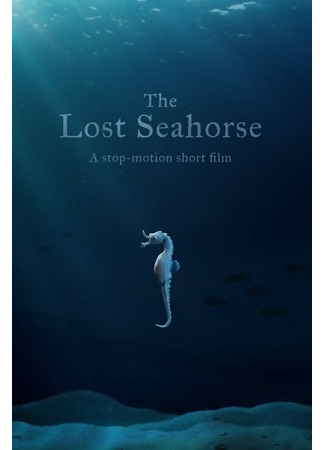 мультик The Lost Seahorse (2021) 21.12.25