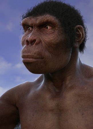 Эволюция от обезьяны к человеку (2017)