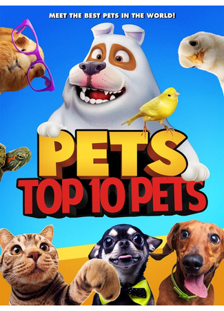Pets: Top 10 Pets (2021)